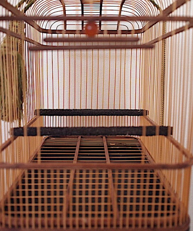 レンタルトリカゴ 大名 | トリカゴ