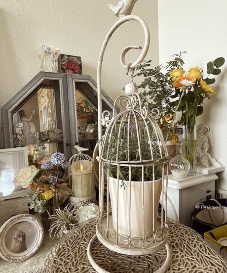 【Paulie】ことりのおおきなあそびば Paulie様専用】ことりのおおきなあそびば