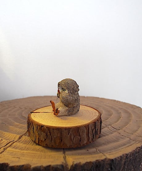 泣き虫フクロウ
