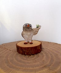 蝶々とフクロウ