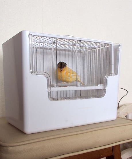 コンテストケージ　ホワイト