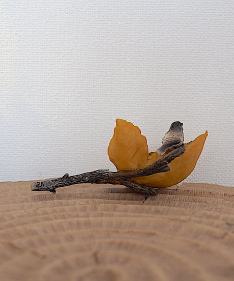 小鳥とてんとう虫