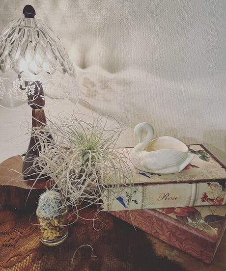 Vintage SWAN（M）
