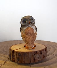 おねだりフクロウ