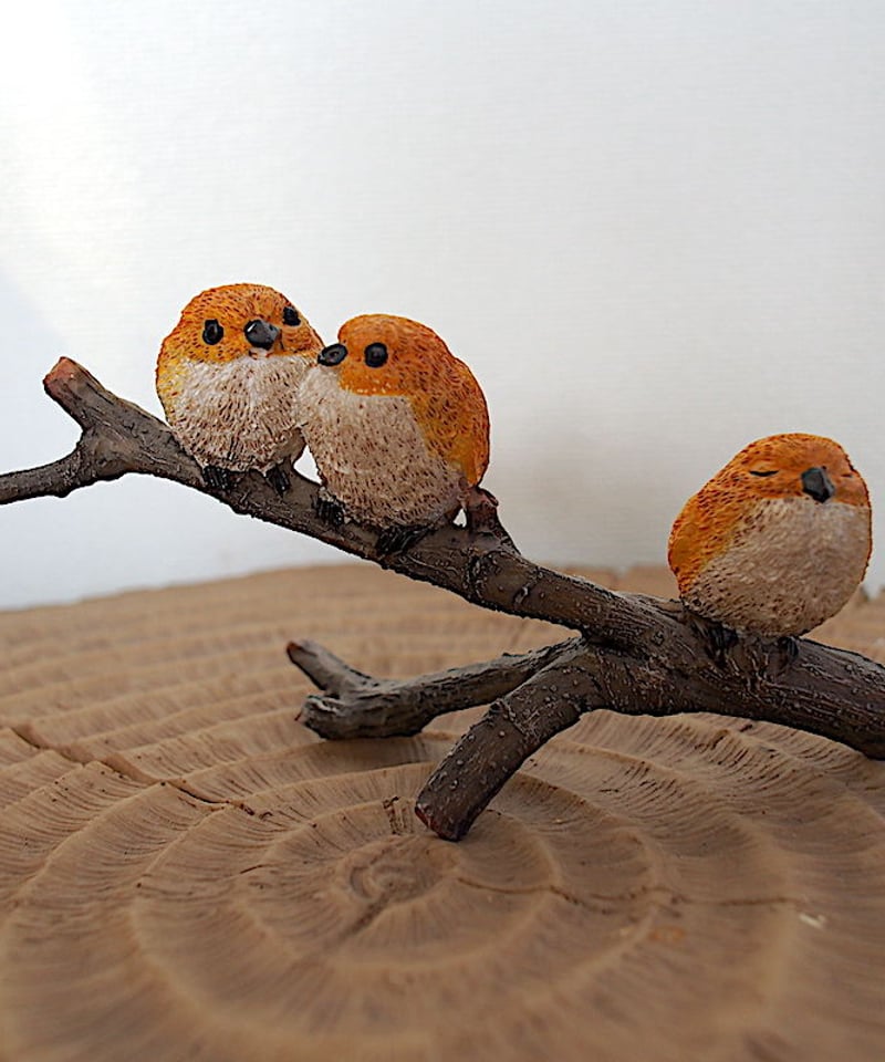 3羽の小鳥 | トリカゴ