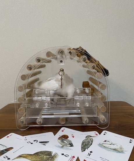 ちいさなことりのお迎えキャリー