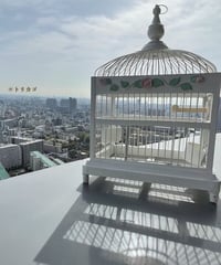 おかしのおうちみたいなとりかご