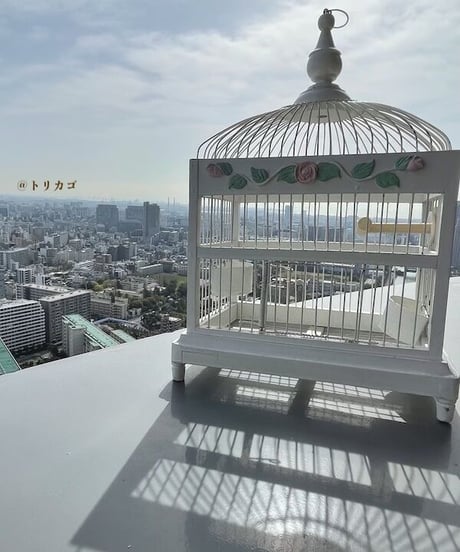 おかしのおうちみたいなとりかご