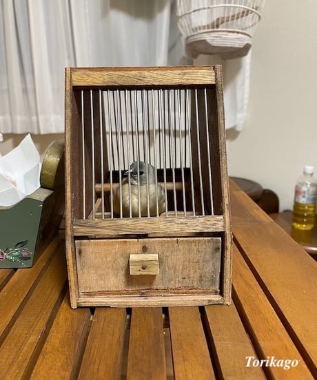 小さな木製トリカゴ