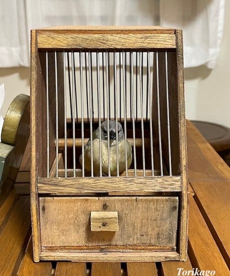 小さな木製トリカゴ
