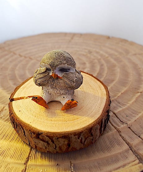 泣き虫フクロウ