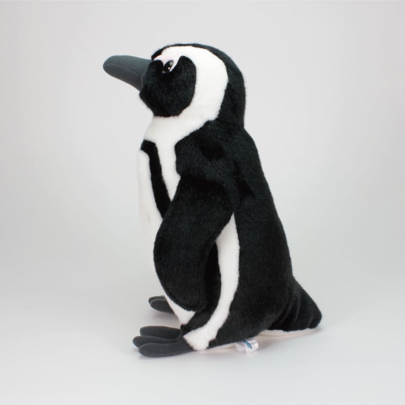 ペンギンぬいぐるみ リアルぬいぐるみマスコット ケープペンギン | 四国水族館ミュージアム