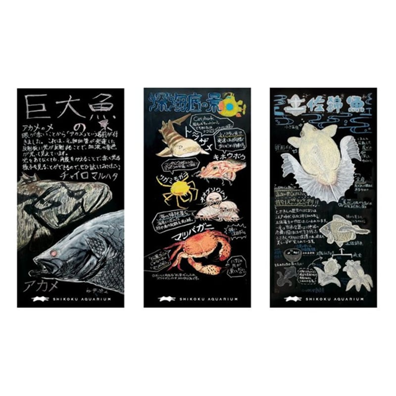 黒板マグネット | 四国水族館ミュージアムショップ