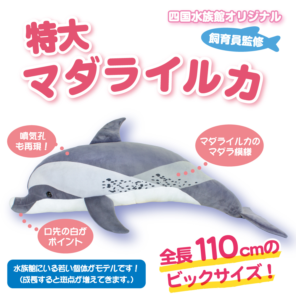 リアルぬいぐるみ特大 マダライルカ | 四国水族館ミュージアムショップ