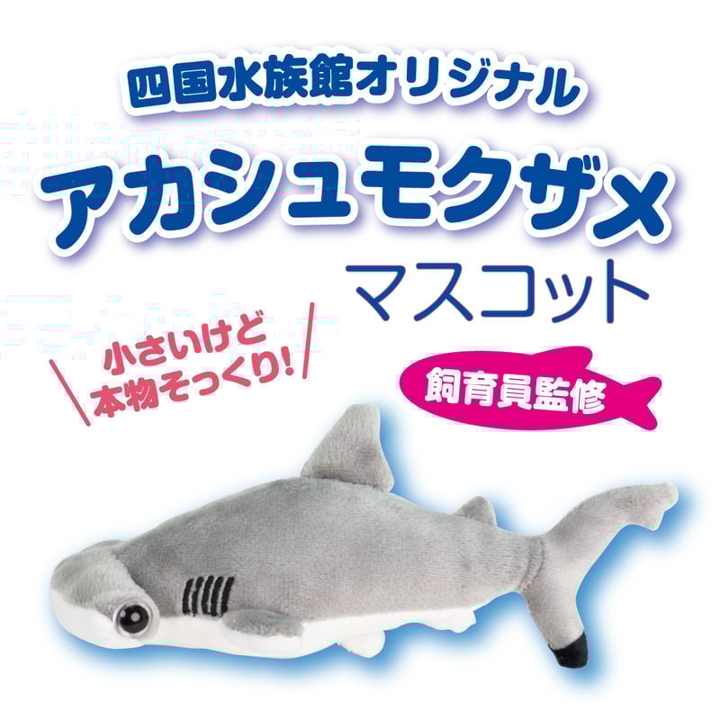 リアルぬいぐるみマスコット アカシュモクザメ | 四国水族館