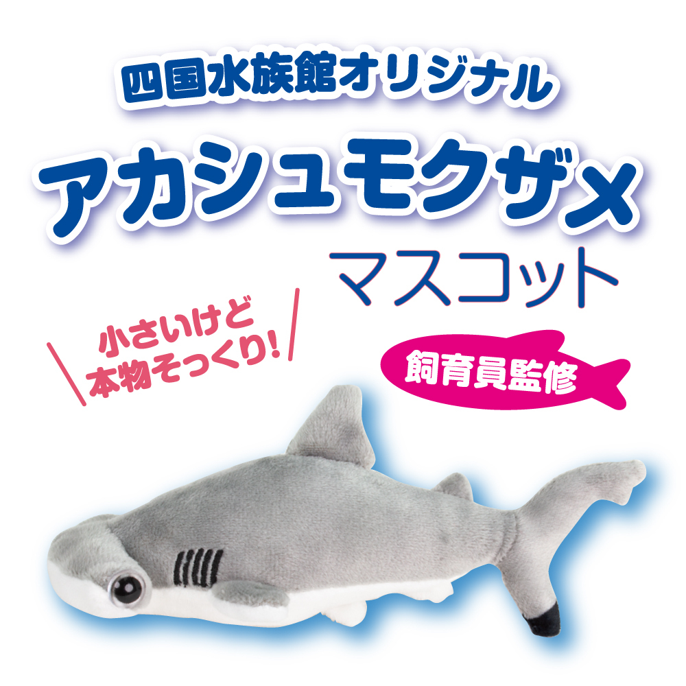 リアルマスコット アカシュモクザメ | 四国水族館ミュージアムショップ