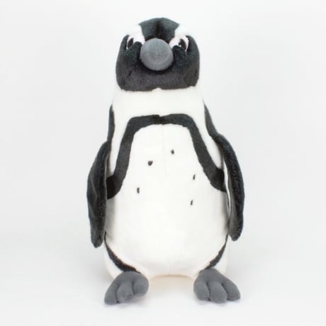 リアルぬいぐるみ　ケープペンギン
