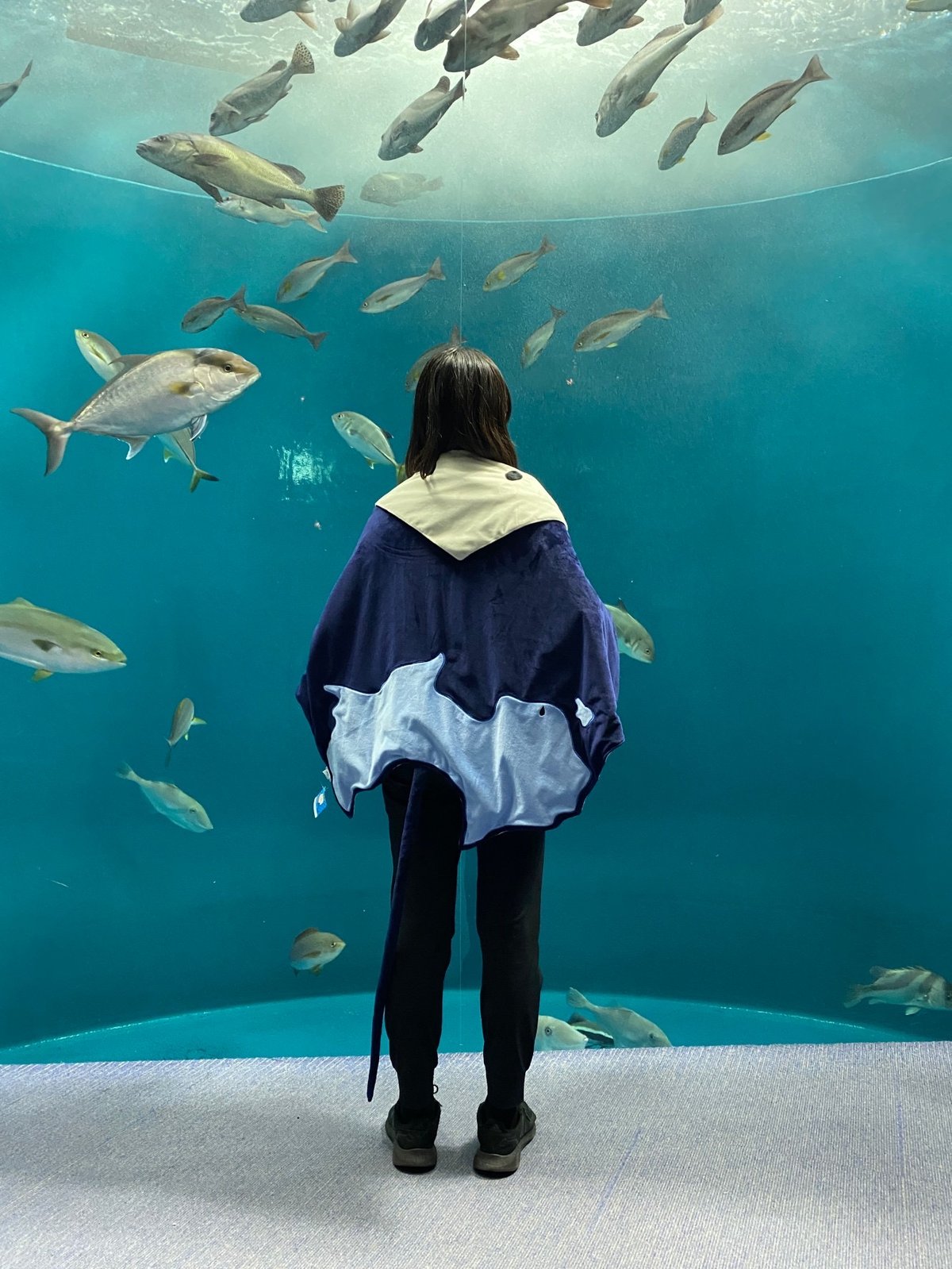 エイくんブランケット | 四国水族館ミュージアムショップ
