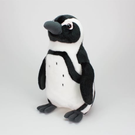 リアルぬいぐるみ　ケープペンギン