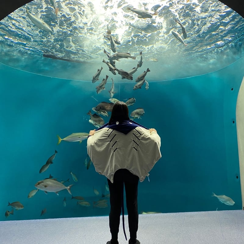 エイくんブランケット | 四国水族館ミュージアムショップ