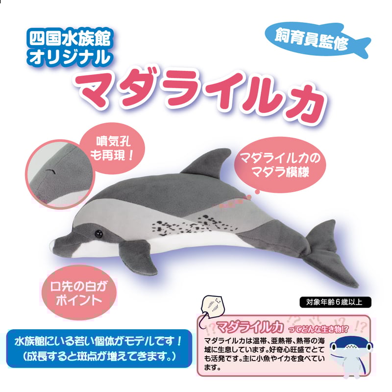 リアルマスコット マダライルカ | 四国水族館ミュージアムショップ