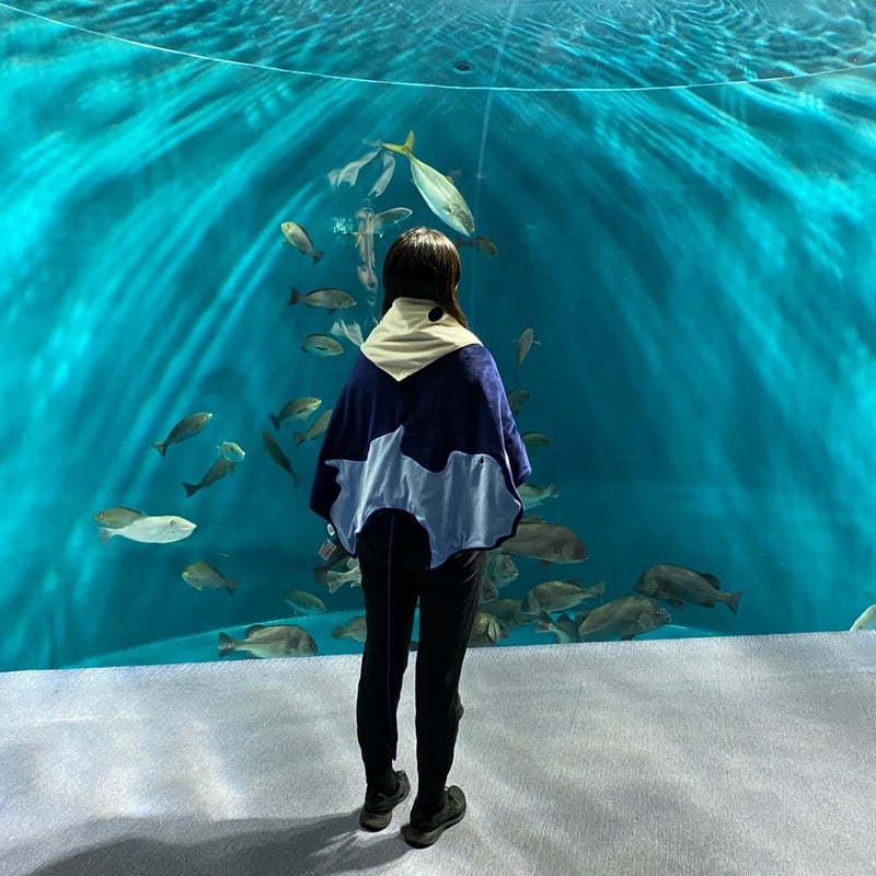 エイくんブランケット | 四国水族館ミュージアムショップ