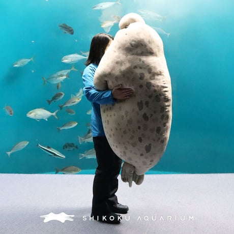 四国水族館ミュージアムショップ 四国水族館ミュージアムショップ