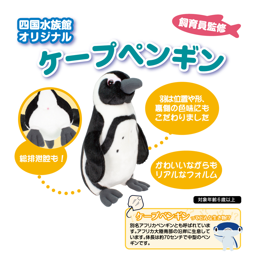 ニット製 ペンギンのぬいぐるみ 4体セット リアルぬいぐるみ ケープペンギン | 四国水族館ミュージアムショップ