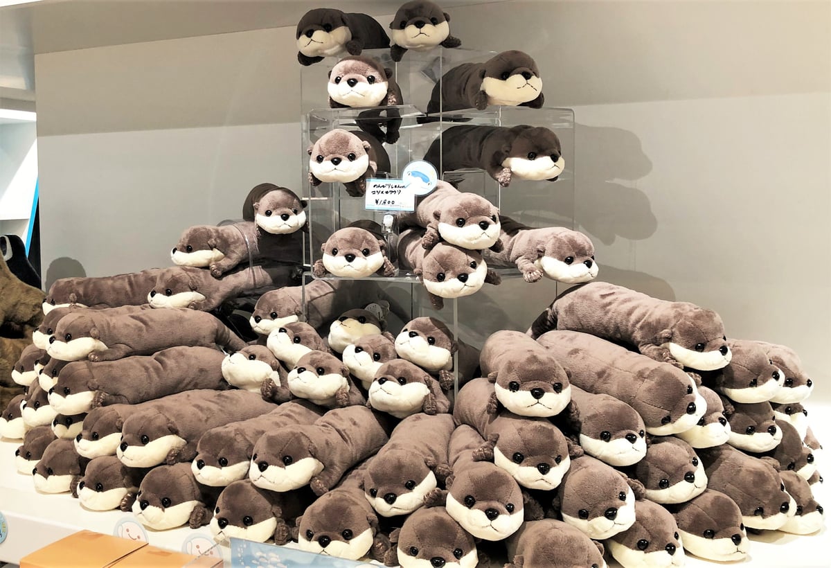 カワウソのぬいぐるみ 水族館 カワウソ ぬいぐるみ アミューズ AMUFUN ぷちまる