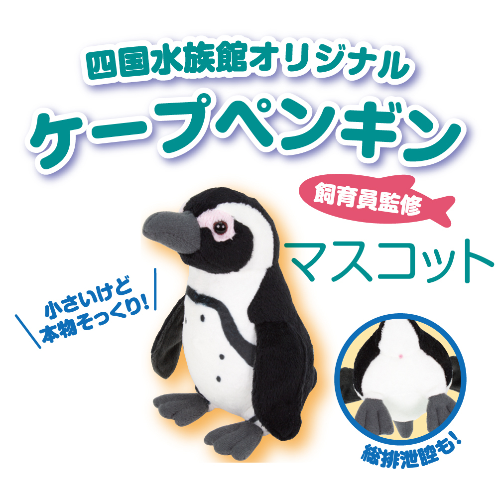 ペンギン　ぬいぐるみ リアルマスコット ケープペンギン | 四国水族館ミュージアムショップ