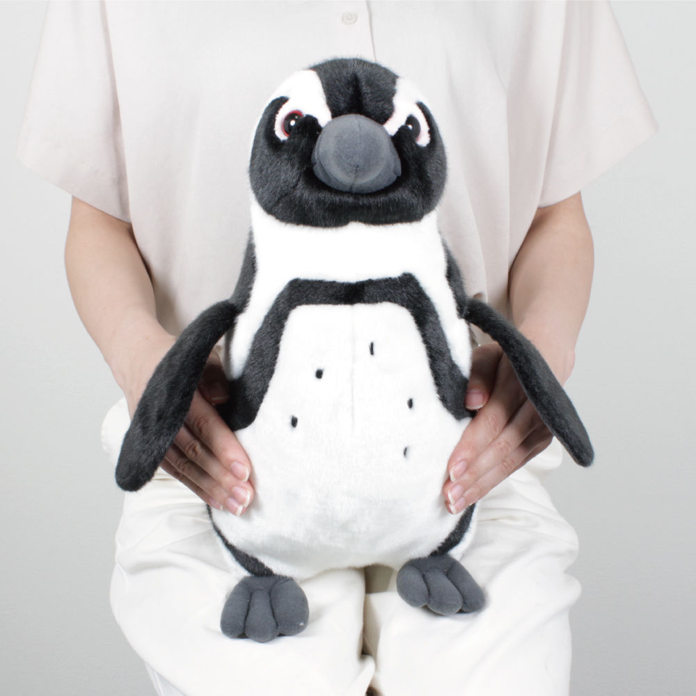 リアルぬいぐるみ ケープペンギン | 四国水族館ミュージアムショップ