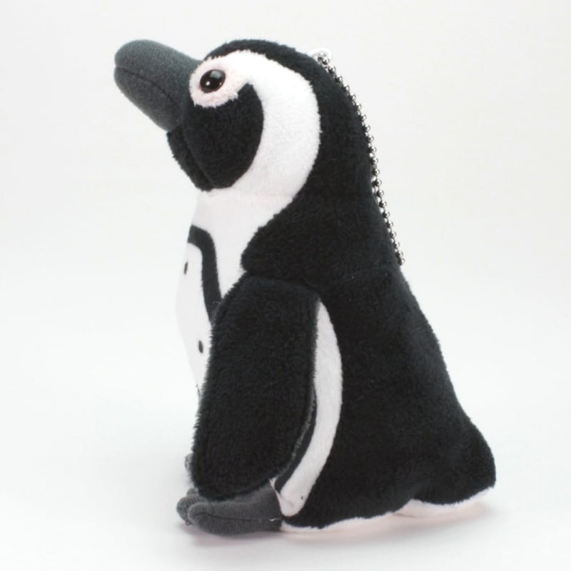 リアルぬいぐるみマスコット ケープペンギン | 四国水族館ミュージアム