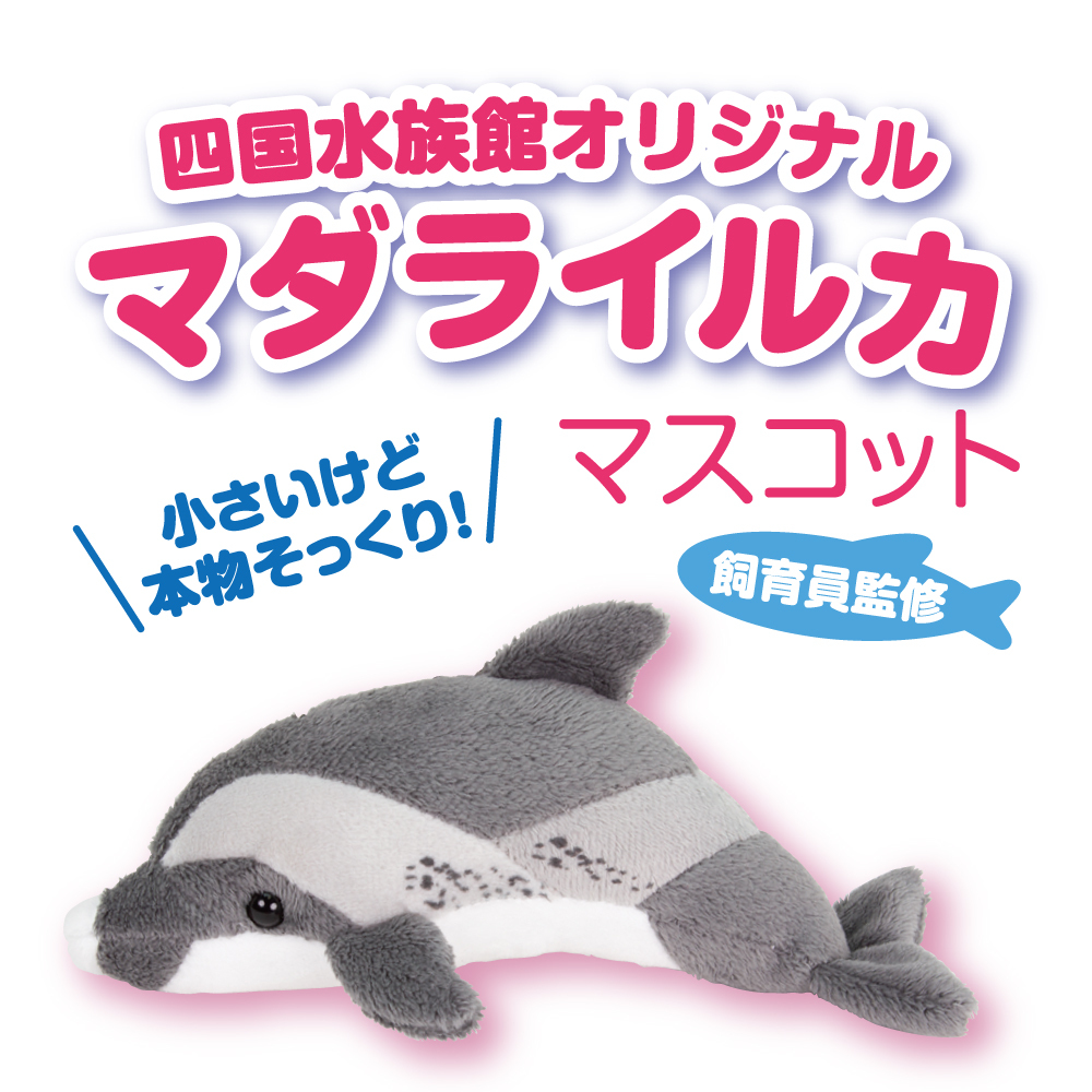 リアルぬいぐるみマスコット マダライルカ | 四国水族館ミュージアム