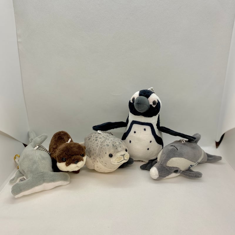 リアルぬいぐるみマスコット ゴマフアザラシ | 四国水族館ミュージアム