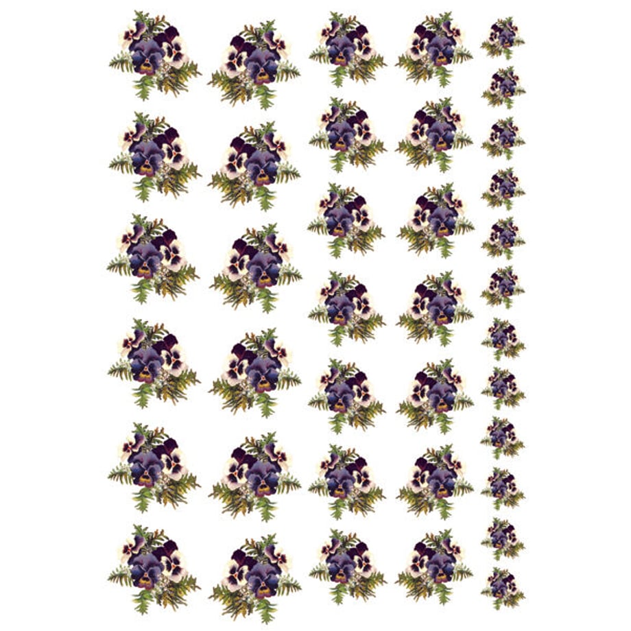 5f55d3cdb5b1087331d43f43