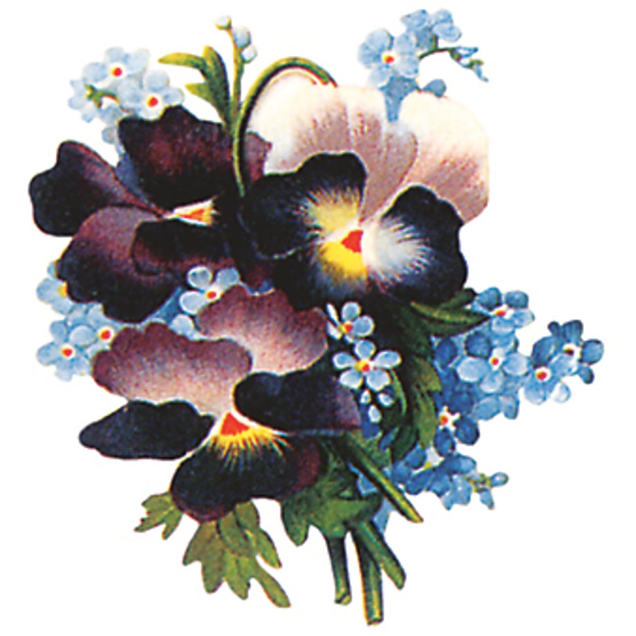 5f55d3bab5b1087331d43e35
