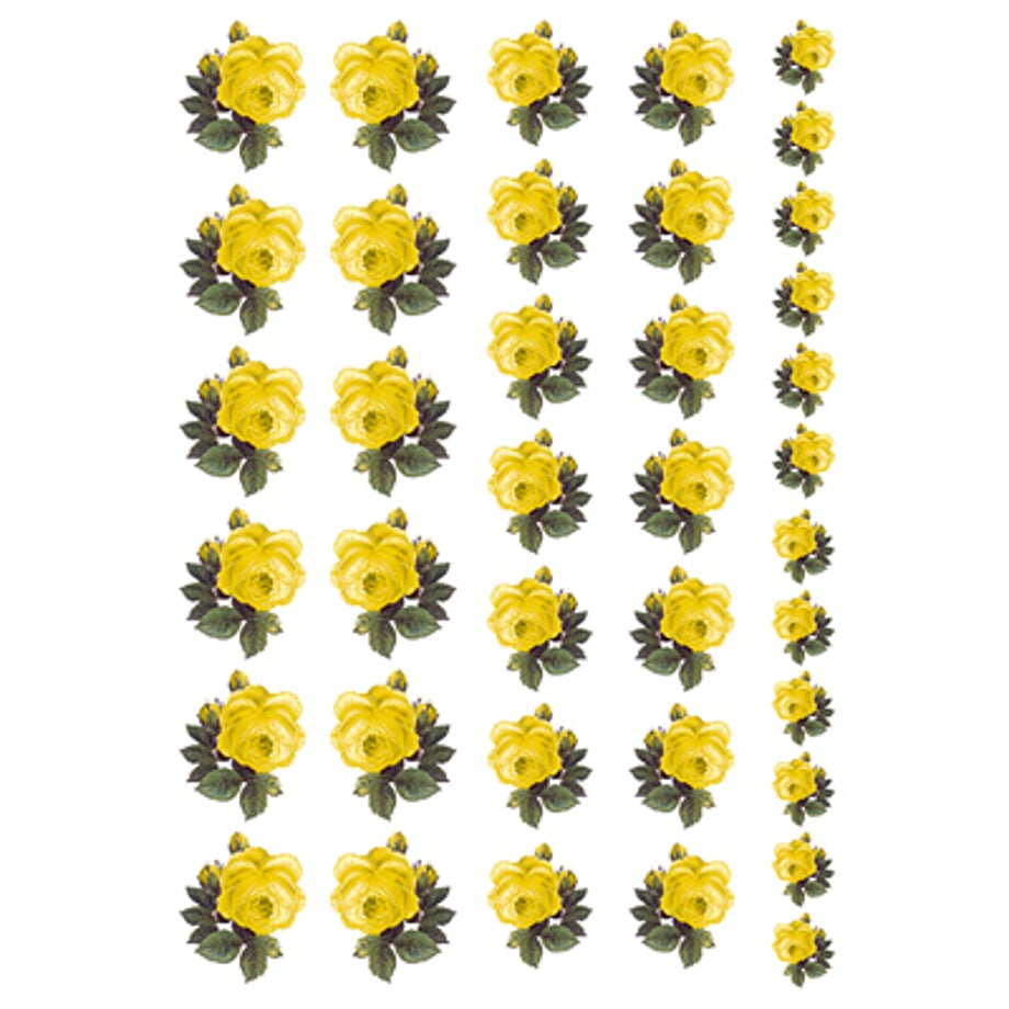 5f55d3c9b5b1087331d43f1a