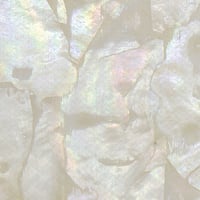 532-6010 らでんシート  あこや/クリーム