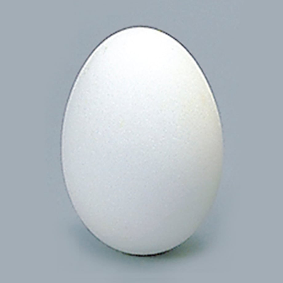 5f5205266589fd4fa0ebc478