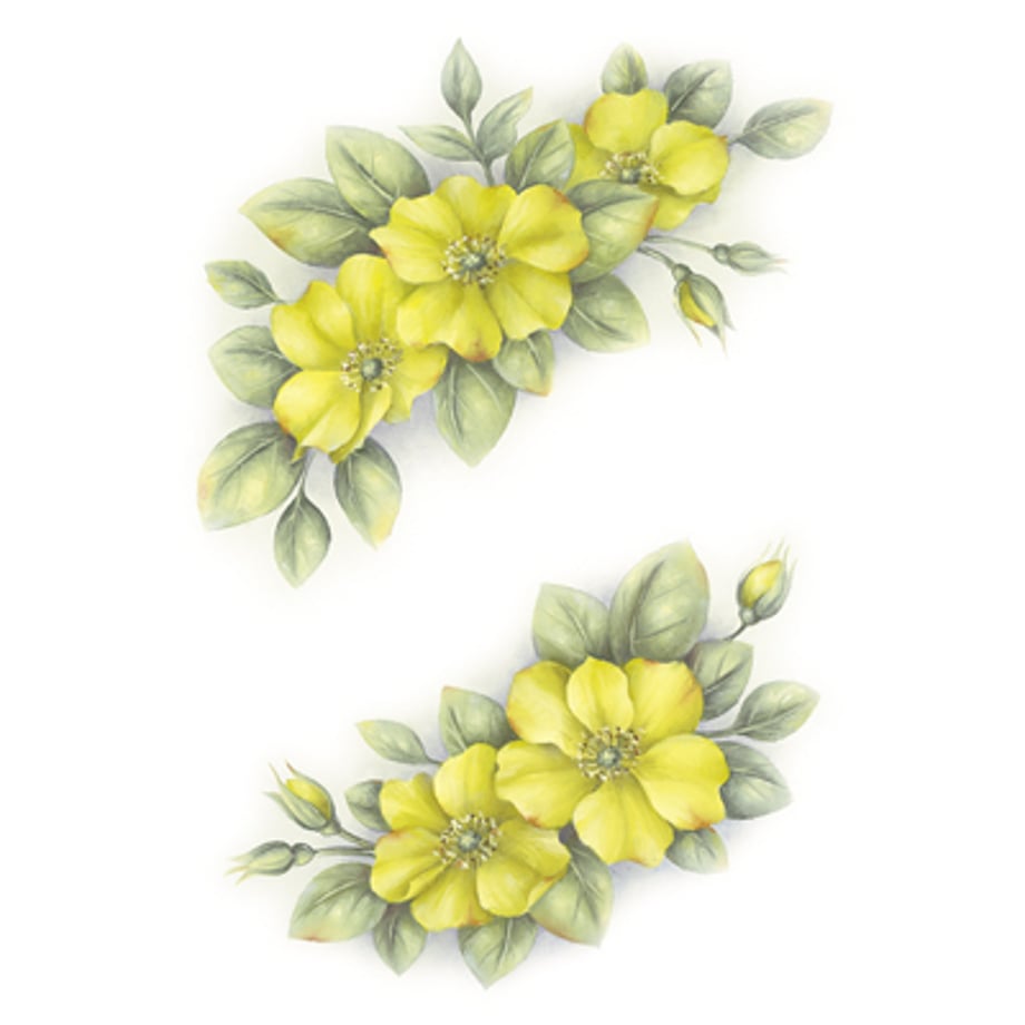 5f55dc2c6589fd7ab5ebe96e