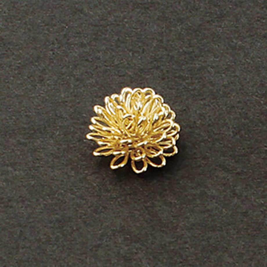 63ff00557c42ee7edc978b55