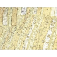502-4207  接着シール付 西陣織
