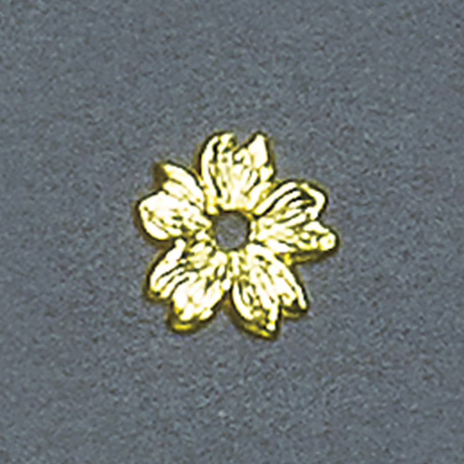 5f55aa748b4f2034b1b791c7