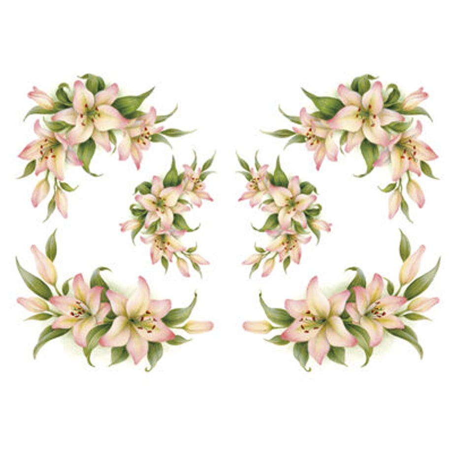 5f55df47f4cd003efa35027f