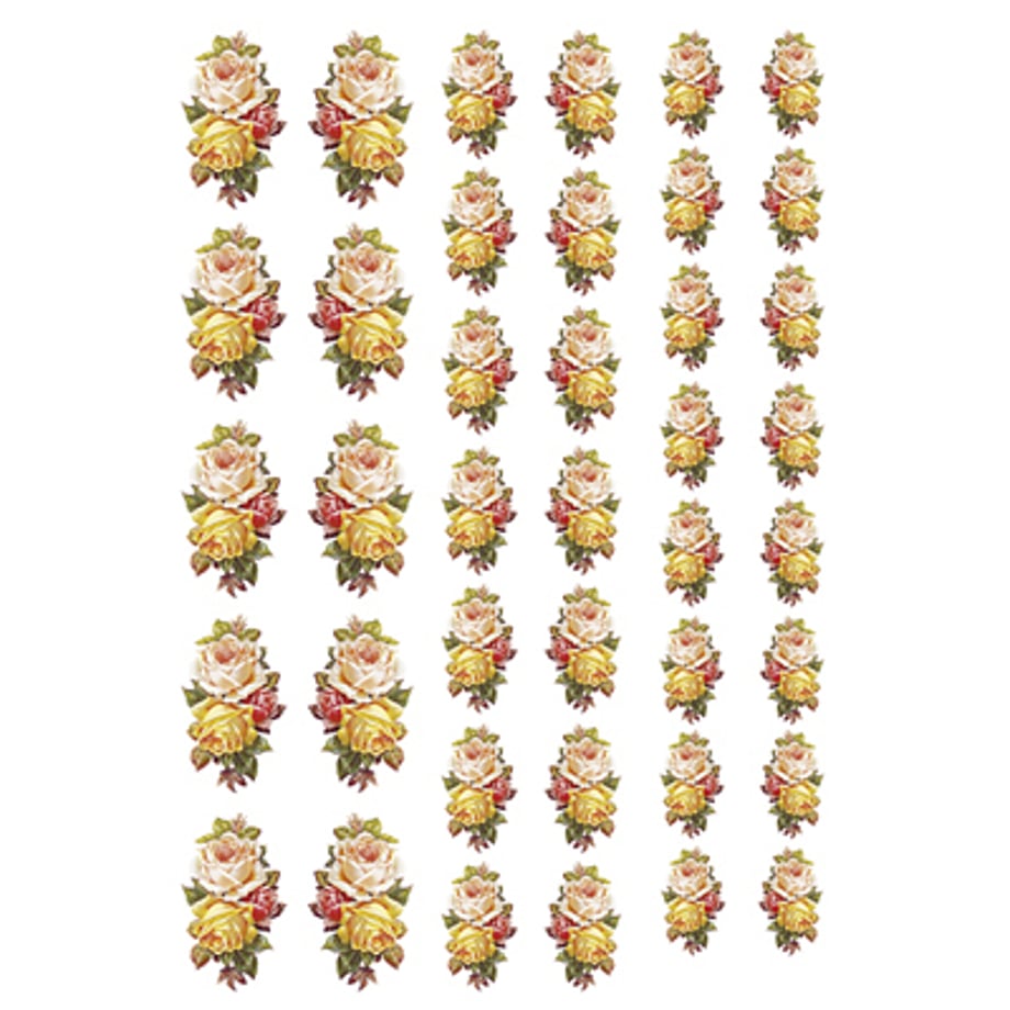5f55d3cbb5b1087331d43f29