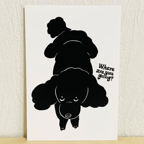 黒プードル | STORES 黒プードル | STORES