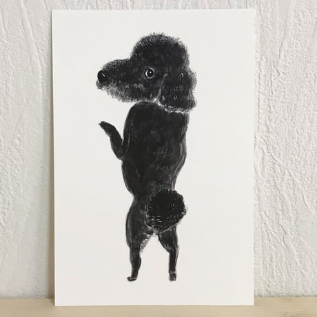 黒プードル | STORES 黒プードル | STORES