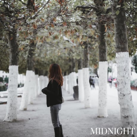 【PRESETS】Lightroom Mobile版：DARK HAZES