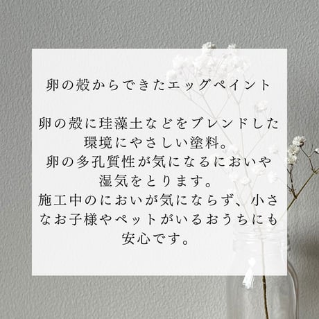 エッグペイント 施工コンプリートセット 《約10㎡施工》