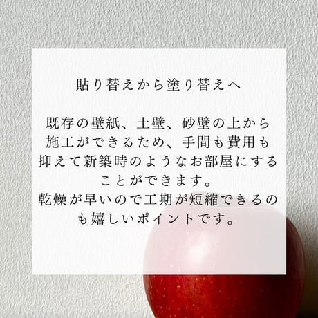 エッグペイント＋シーラーセット 《約10㎡施工》
